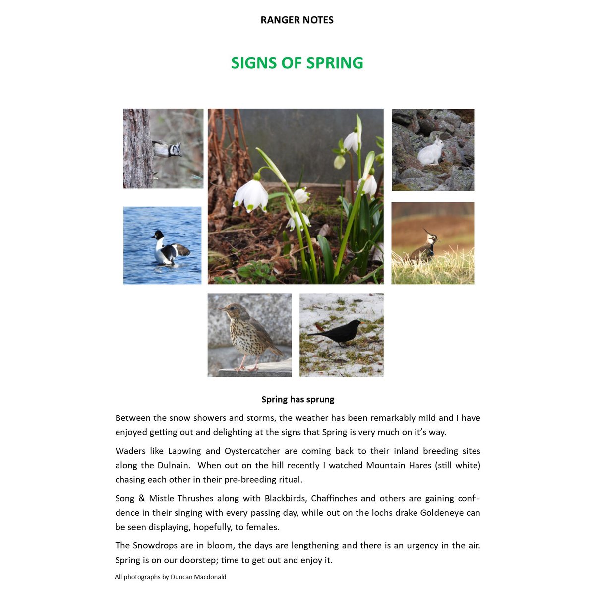 Carrbridge Nature tweet media