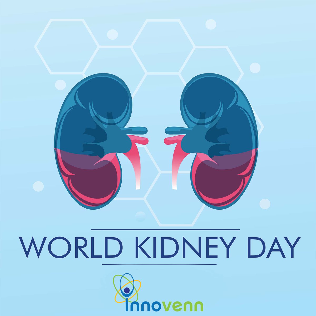 Innovenn's tweet photo. On #worldkidneyday, we are thankful to work with organizations whose goal is to improve kidney health. @otsuka #innovenn #kidneyhealth #transplant https://t.co/9OvZ2BRxej