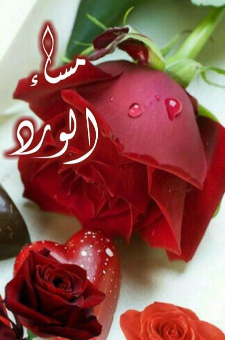 خضري الاقطع لميت tweet media