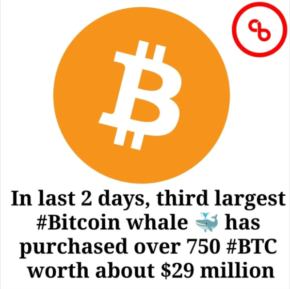 _mathew765's tweet photo. In last 2 days, third largest #Bitcoin whale 🐳 has purchased over 750 #BTC worth about $29 million
#CryptoNews #crypto #CB365

Checkout involve the landing web : https://t.co/FMyiuvxSNG

1️⃣ Follow @_mathew765☀️
2️⃣ Like &amp; Comment ❤️
3️⃣Tag Friends https://t.co/FGjj4OSMkj