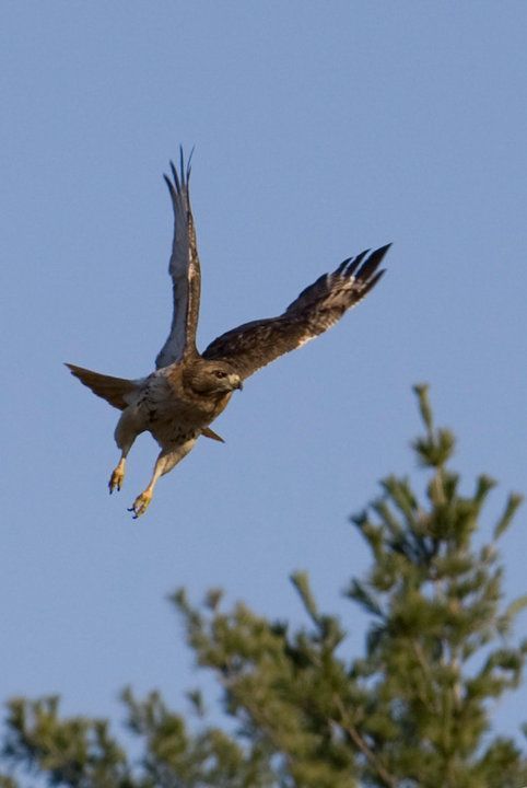 WaterkeepersNS's tweet photo. Fierce pride. Last wk tks to NS Environmental Network, we took part in a virtual mtg with @ns_environment Minister @TimothyHalman... [Full post: https://t.co/CaZXHaChaX] So we wanted to share some of the natural beauty we are proud of and will continue to fiercely defend!🌲💧❤️🌍 https://t.co/NlVd0F38Yi