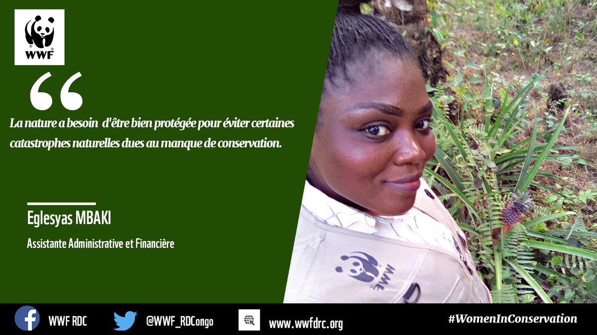 WWF_RDCongo's tweet photo. Eglesyas MBAKI, l’une de ces femmes ayant jeté l’ancre dans la #conservation. Elle a rejoint #WWFRDC en 2019 en tant qu’assistante admin. et financière du projet «résilience des communautés au changement climatique» à Luki. Plus sur👉🏾https://t.co/QdEoJlavo0 #WomenInConservation https://t.co/DnHdTAiJ6j
