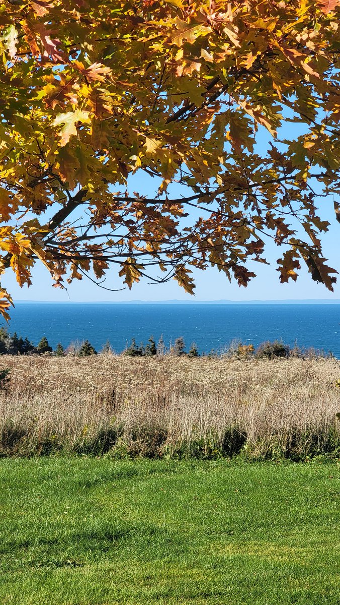 WaterkeepersNS's tweet photo. Fierce pride. Last wk tks to NS Environmental Network, we took part in a virtual mtg with @ns_environment Minister @TimothyHalman... [Full post: https://t.co/CaZXHaChaX] So we wanted to share some of the natural beauty we are proud of and will continue to fiercely defend!🌲💧❤️🌍 https://t.co/NlVd0F38Yi