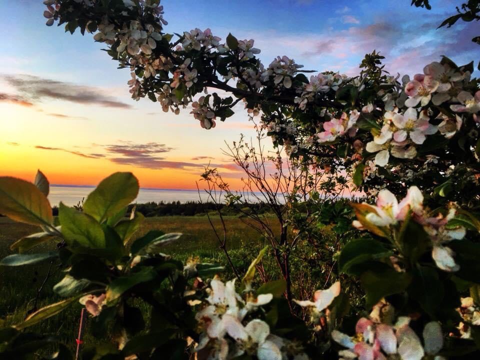 Fierce pride. Last wk tks to NS Environmental Network, we took part in a virtual mtg with <a href="/ns_environment/">NS Environment and Climate Change</a> Minister <a href="/TimothyHalman/">Timothy Halman</a>... [Full post: facebook.com/AnnapolisWater…] So we wanted to share some of the natural beauty we are proud of and will continue to fiercely defend!🌲💧❤️🌍