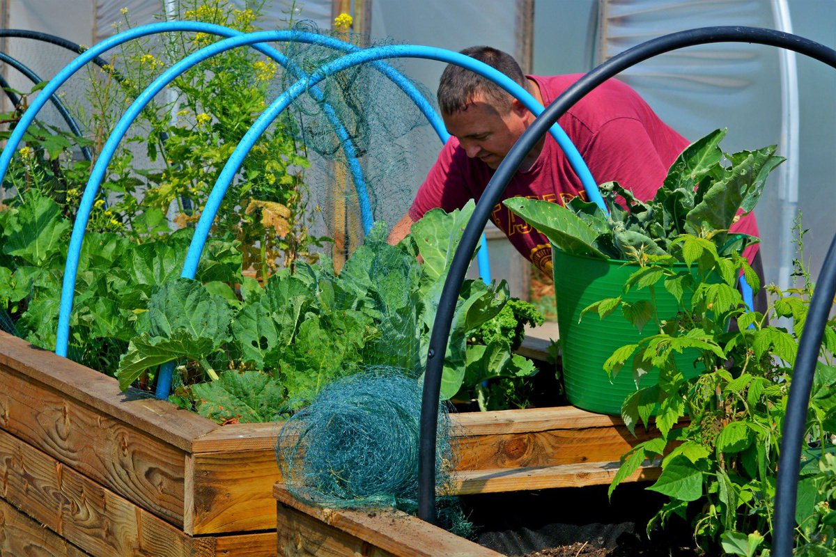 Excited to receive #NationalLottery funding for our initiative - the 'Food For Growth' project. 
Thanks to @TNLComFund's #TogetherforOurPlanet & lottery players, we'll introduce 180 local children to nature, growing & cooking nutritious meals with sustainable food #OneStepGreener