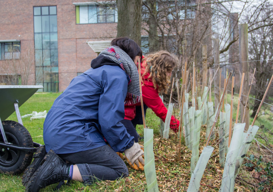 NHSForest's tweet photo. 📢We're #hiring!
We're seeking an energetic and inspiring manager for our Nature Recovery Rangers, who are based at health sites around the country. Full time role, remote working with frequent UK travel. Sound like you, or someone you know?
Read more here https://t.co/bCBr145coR https://t.co/GCaIQOSDLZ