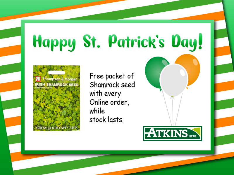 AtkinsCork's tweet photo. Celebrate St Patrick's Day 2022 - https://t.co/eWglI6uZSi https://t.co/18DO3QKA34