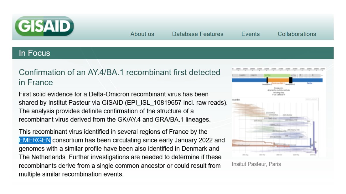 [#COVID19] Détecter les variants émergents est un des objectifs du consortium #EMERGEN qui a identifié l’émergence en France d’un virus recombinant #Delta-#Omicron
👉 La séquence de référence a été partagée par le CNR Virus des infections respiratoires sur gisaid.org