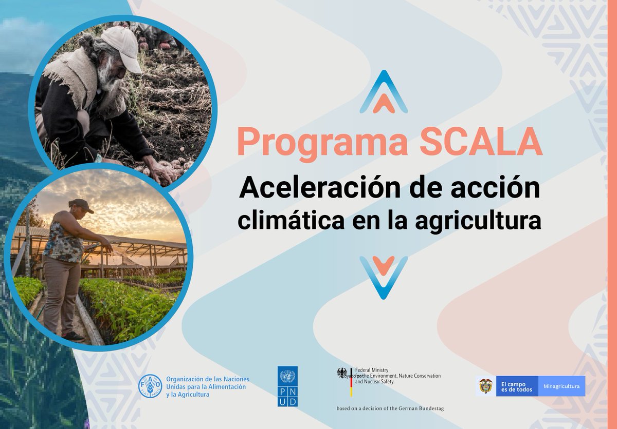 Inside Hub tweet media