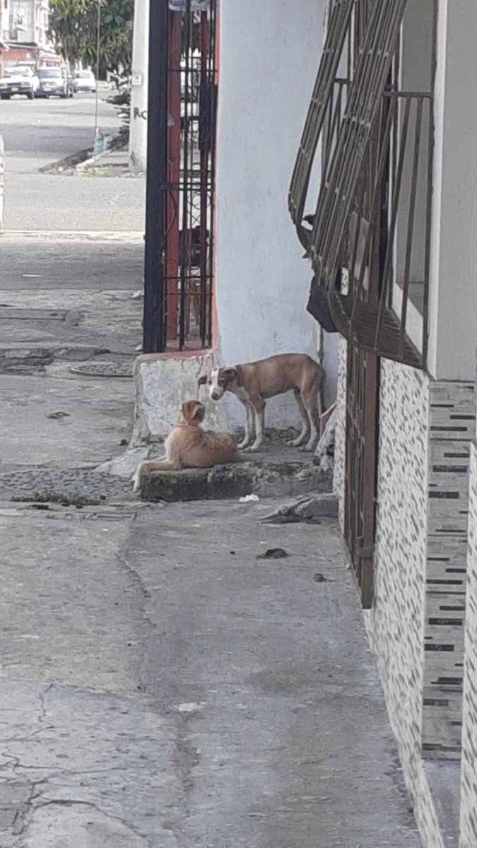 VERITO LOPEZ tweet media