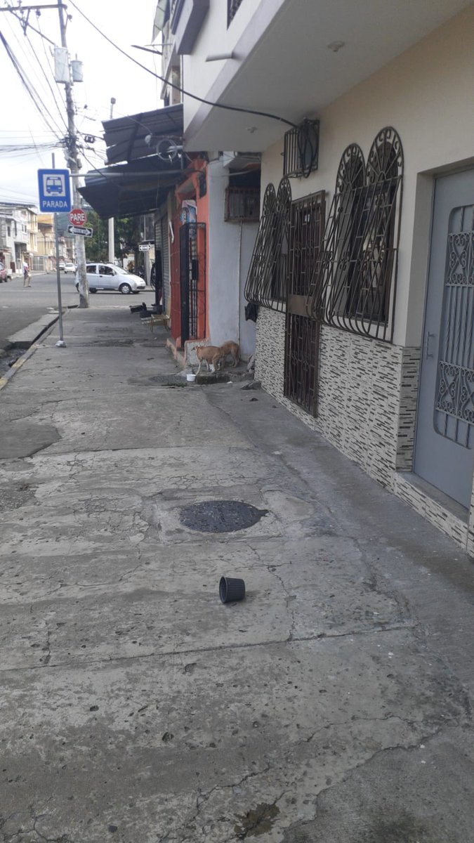 VERITO LOPEZ tweet media