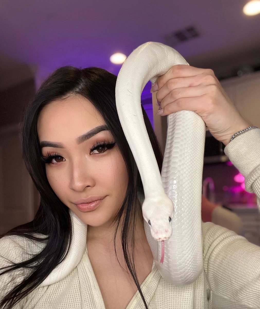 nft_celine's tweet photo. Gm frends! Hope everyone is having an amazing day. This is my snek her name is Kilo. We’re both wondering what new projects we should get into 🤔 https://t.co/edc6oNnNJW