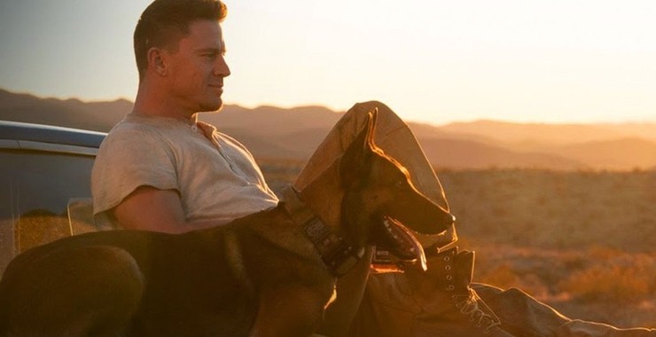 Ченнинг и собака. Ченинг татумом и собакой фото. Ченнинг татум и его собака лулу. Ченнинг татум и его собака лулу. Собака ченнинга татума лулу.