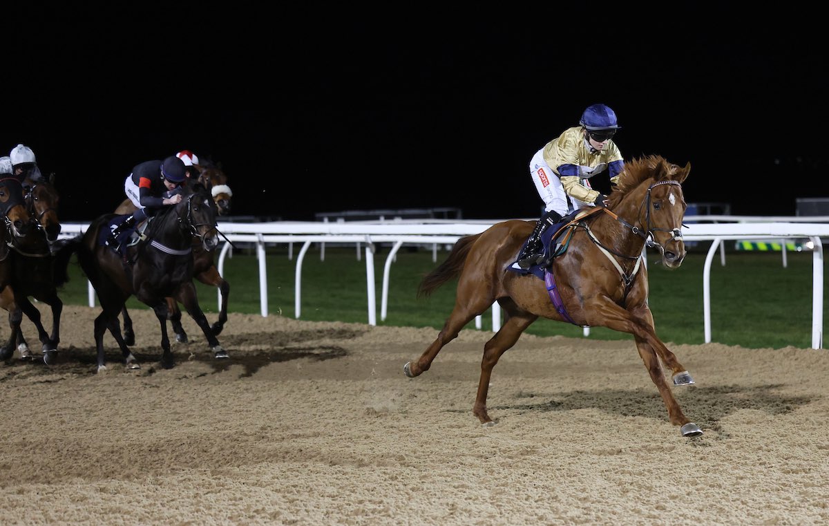Archie_Watson's tweet photo. WINNER Fly To Glory wins impressively under @HollieDoyle1 at Newcastle to remain unbeaten! Well done to @HambletonRacing and to all the team at home! #winner #saxongate https://t.co/6ptEY51mp7