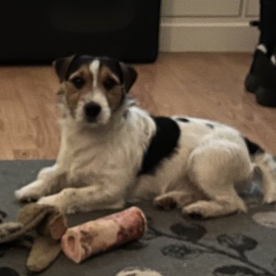 cathie247's tweet photo. #NewProfilePic https://t.co/u8nAALpn9N