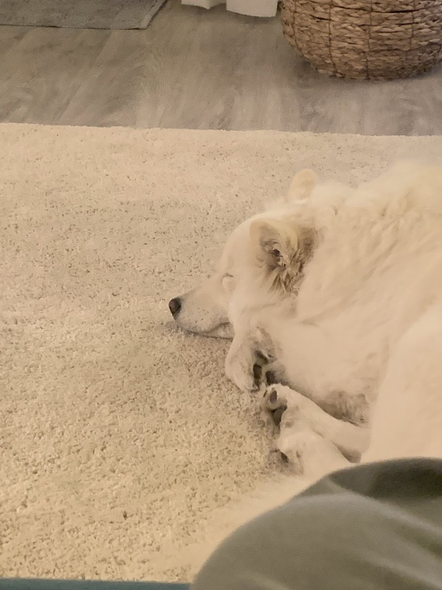 Verschläft die einfach #gntm
