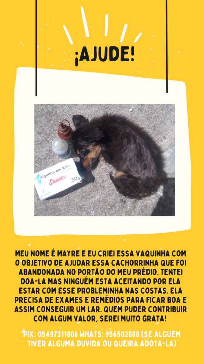 dessaspfc_'s tweet photo. #animais https://t.co/iaEYPwSXAc