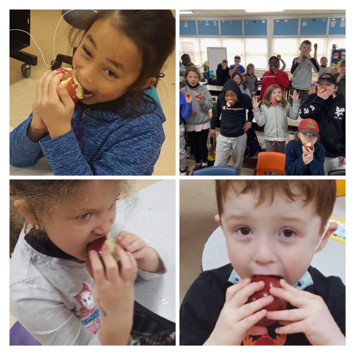 Crunches could be heard all over Cole Harbour as @HRCE_NS schools took part in the Great Big Crunch today!! This @cjses1 Crunch Crew took their delicious job seriously!! #greatbigcrunch #NutritionMonth #nomnom @Ms_Robertson_PE @HRCEHealthPromo @NourishNS