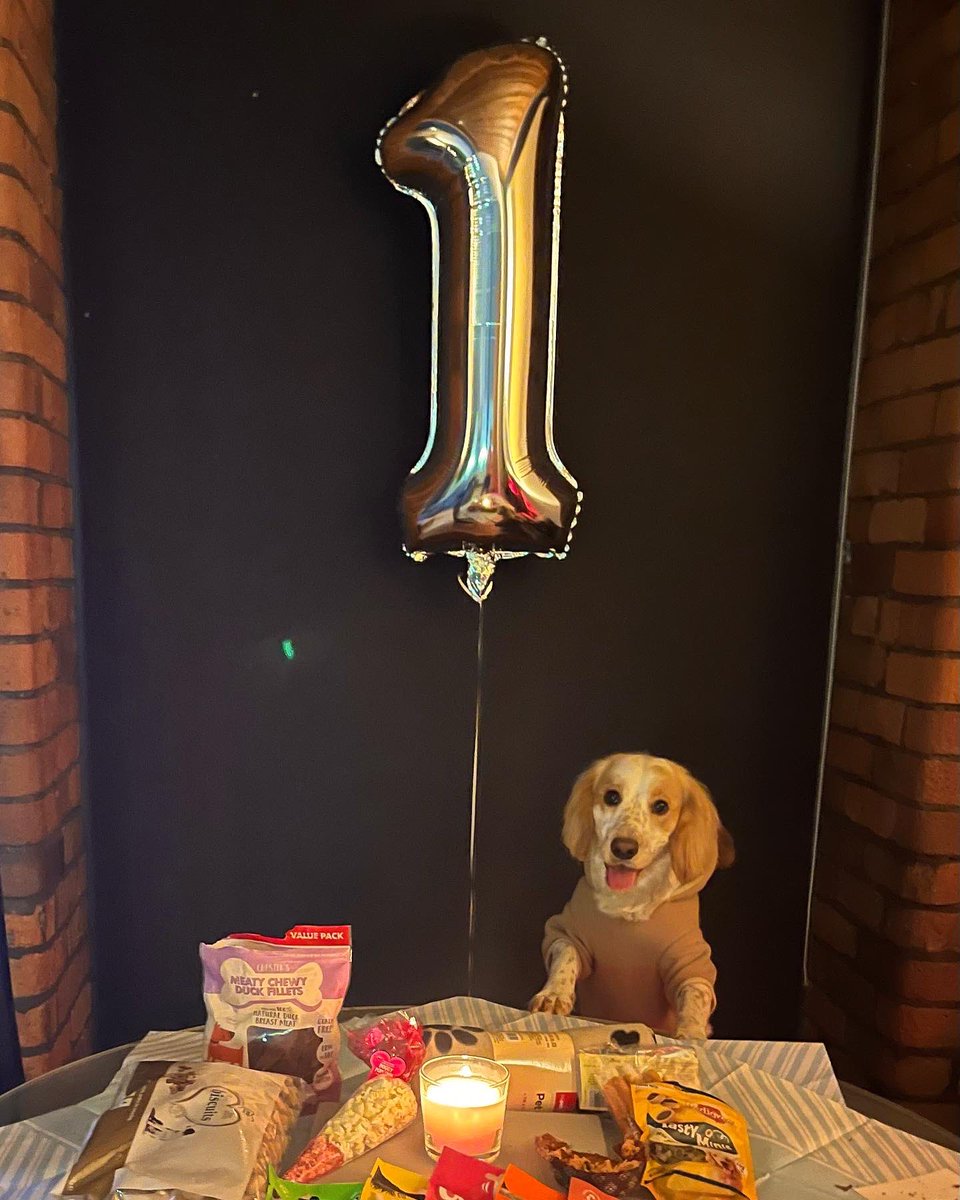 1️⃣ today and full of mischief!