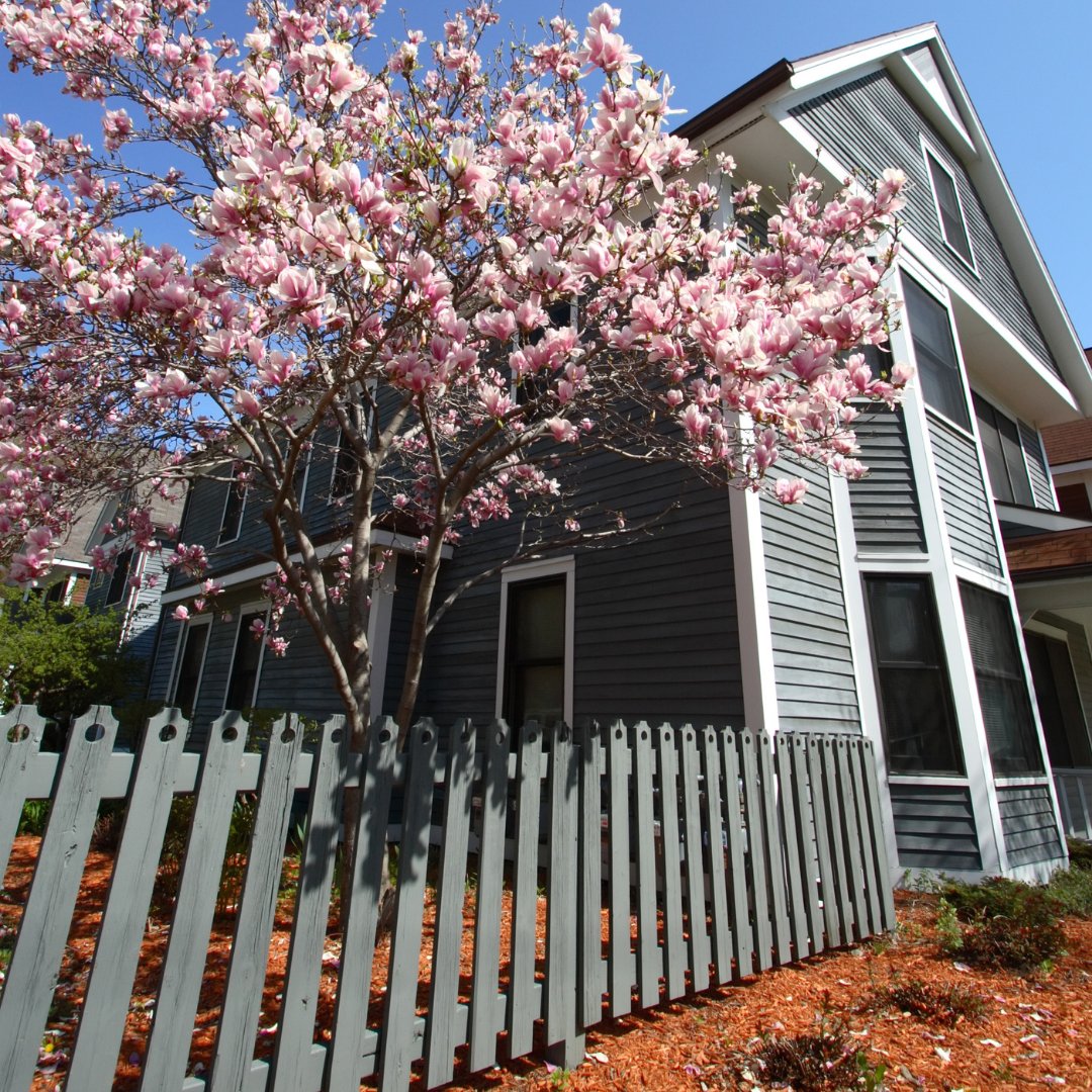 Spring is coming... Now's the time to schedule your next service! ☀️🌷 The warmer temperatures = lots of bug movement! Give us a call to protect your home from undesirable guests this Spring season.

cleggs.com
 📞 888-MR-CLEGG