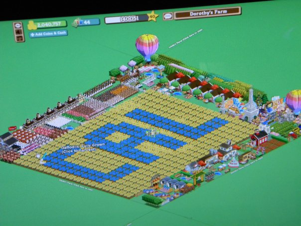 Dorothy B. Hoffman tweet media