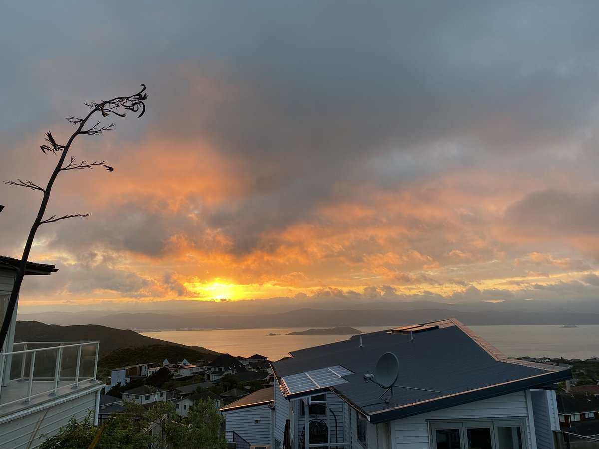 bookaye's tweet photo. Good morning sunshine. Hoping good vibes for the day ahead @Wellington_NZ https://t.co/luzMzNcucp