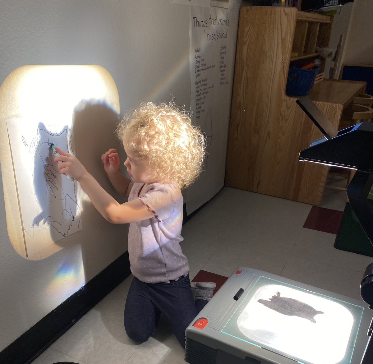 Mountain Ridge Little Lions tweet media