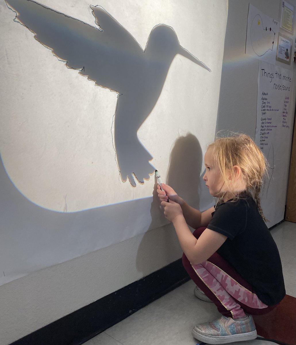 Mountain Ridge Little Lions tweet media