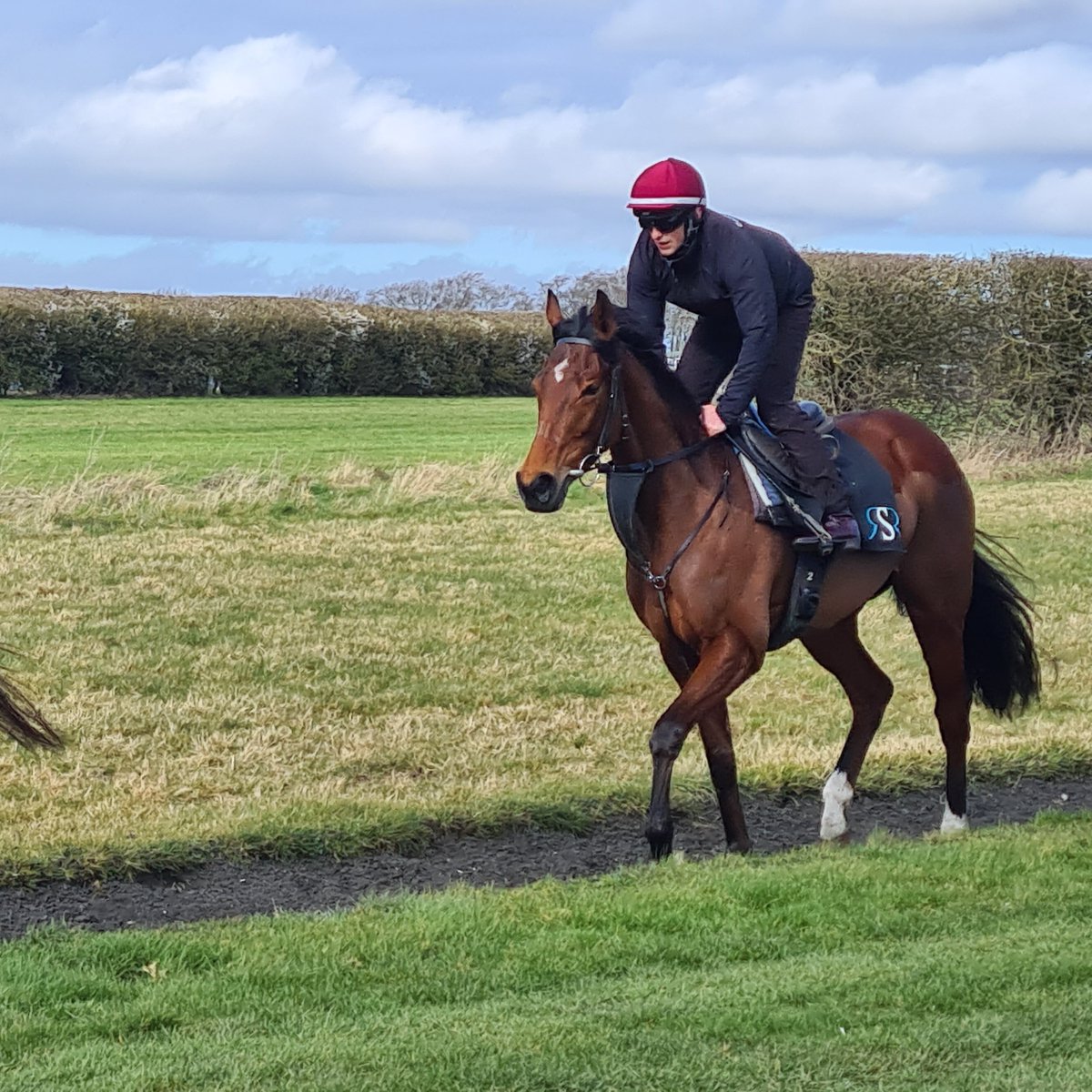 WALEYFA returning after doing a nice piece of work today under Trevor Whelan for @RStephensRacing @Tattersalls1766 mares sale purchase. Will be making her debut for the yard soon. 🐎🐎