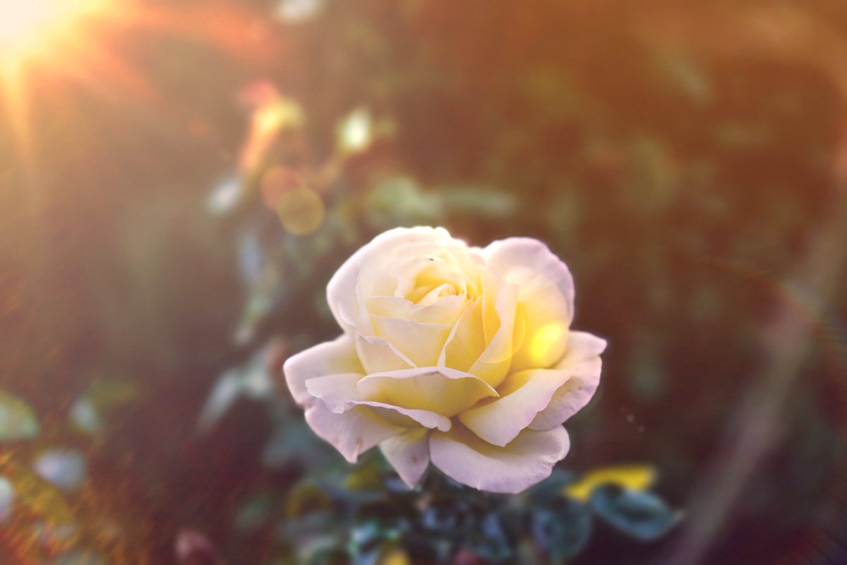 MariaStr1510 tweet picture