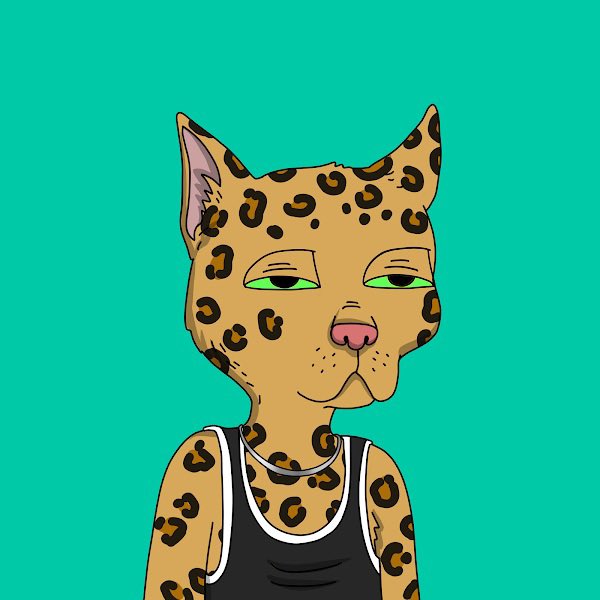 Stoniphantom's tweet photo. HELLO IM STONI-
LETS START A FOLLOW TRAIN UNDER SO YALL COULD MEET NEW GANGERS (: 
#GANGFOLLOWGANG https://t.co/RRR4SuQIlY