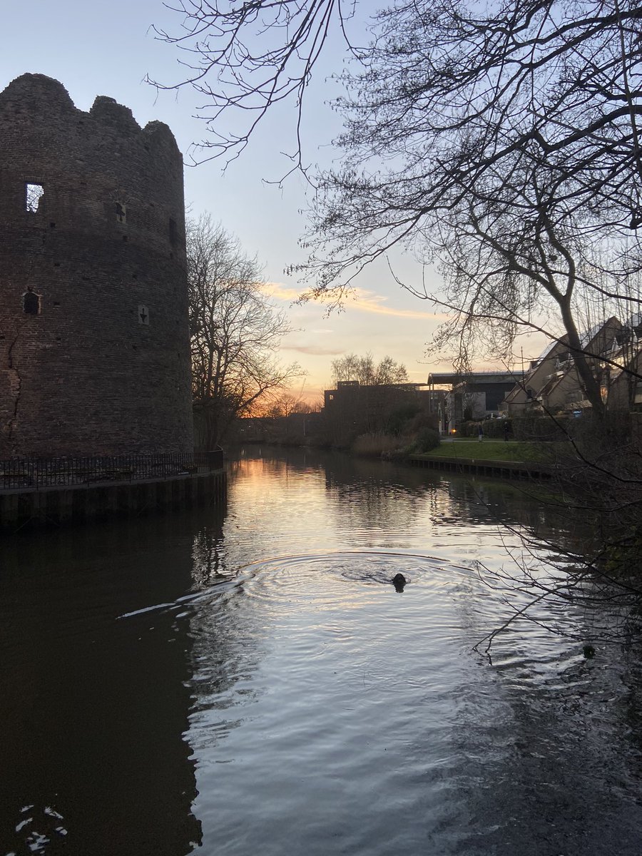 flatcoatfrenzy's tweet photo. @Crufts #Crufts Brunos’ happy place is anywhere we are… especially if there’s water involved! 🐶🐾 https://t.co/q9bIqxMZwd