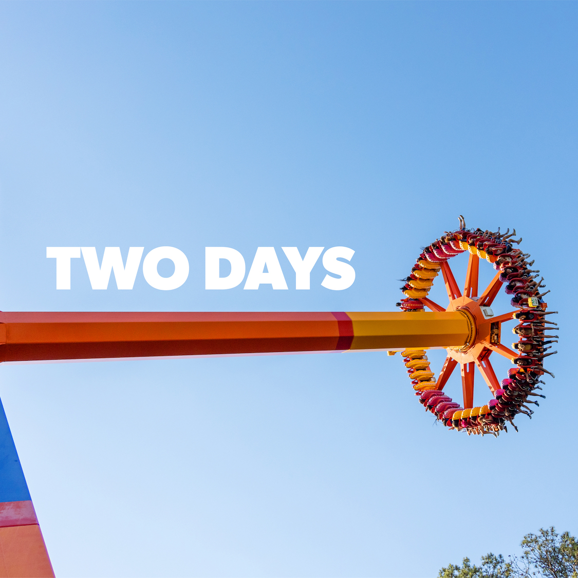 We're going DELIRIOUS because we're only two days away from Opening!🤪 
Purchase your tickets here: bit.ly/3CyePBR
