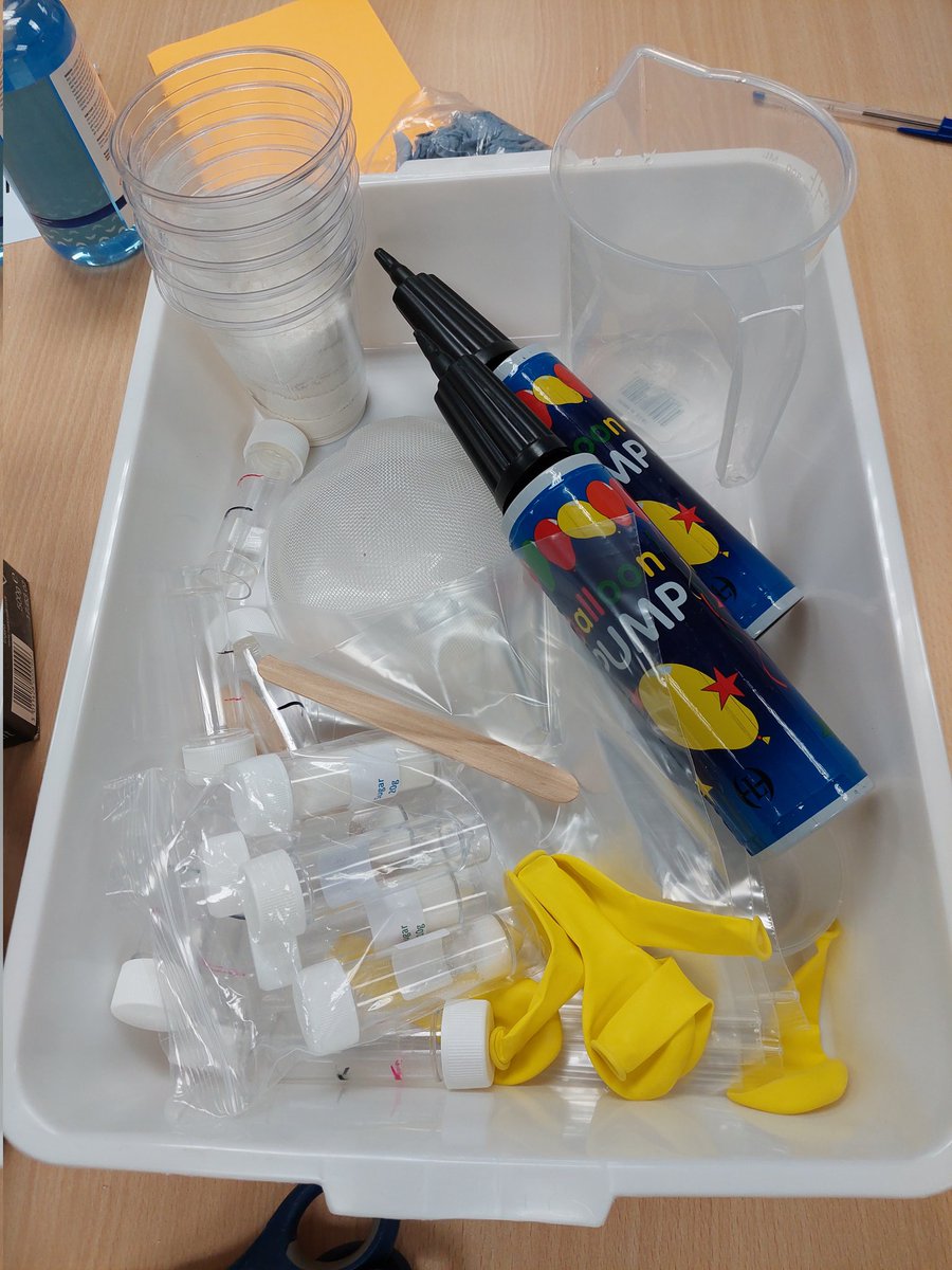 SSERC Early Years and Primary Team tweet media