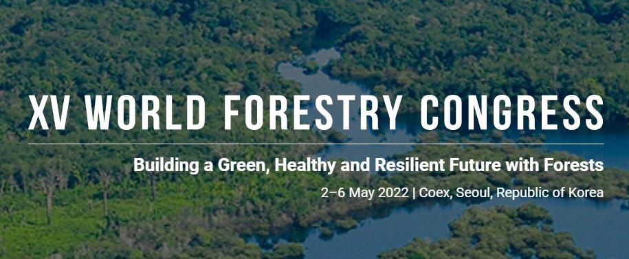 EfiGovernance's tweet photo. Join the #XVWorldForestryCongress side event: "Evaluating policy impacts: How to best assess the effectiveness of international forest policy?" With presentations of #NewGo! researchers @YitagesuTekle and @SvenWunder1
🗓 May 4
More info➡ https://t.co/XE71GyKlhp
#ForestGovernance https://t.co/u74JIpKaKL