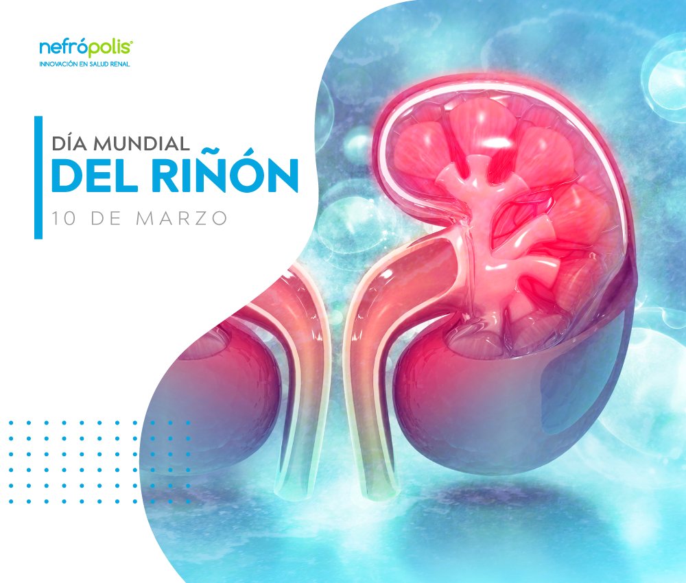 ✨ La gente en todo el mundo se reunirá el 10 de Marzo de 2022 para conmemorar el Día Mundial del Riñón. 

❤ El Día Mundial del Riñón regresa todos los años. En todo el mundo, cientos de eventos se llevan a cabo Todo se realiza para crear consciencia.