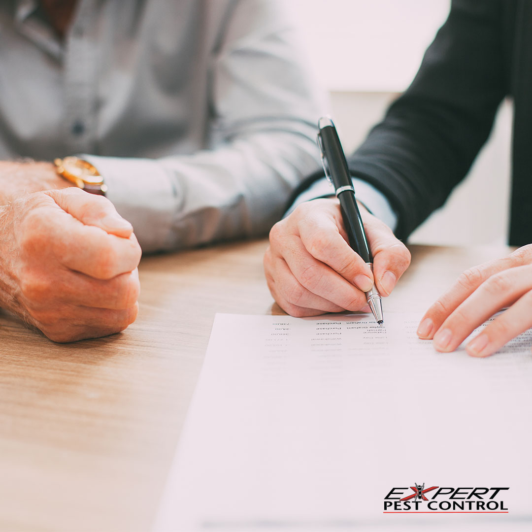 ExpertPestC's tweet photo. It doesn't matter if it's #budget season or not. If a current #vendor isn't performing up to snuff, you will change. We can come in to provide a free inspection and see if what your current #pestcontrol company is doing is the right strategy for you. https://t.co/gkm57U82f7 https://t.co/QoPuZQDoqD