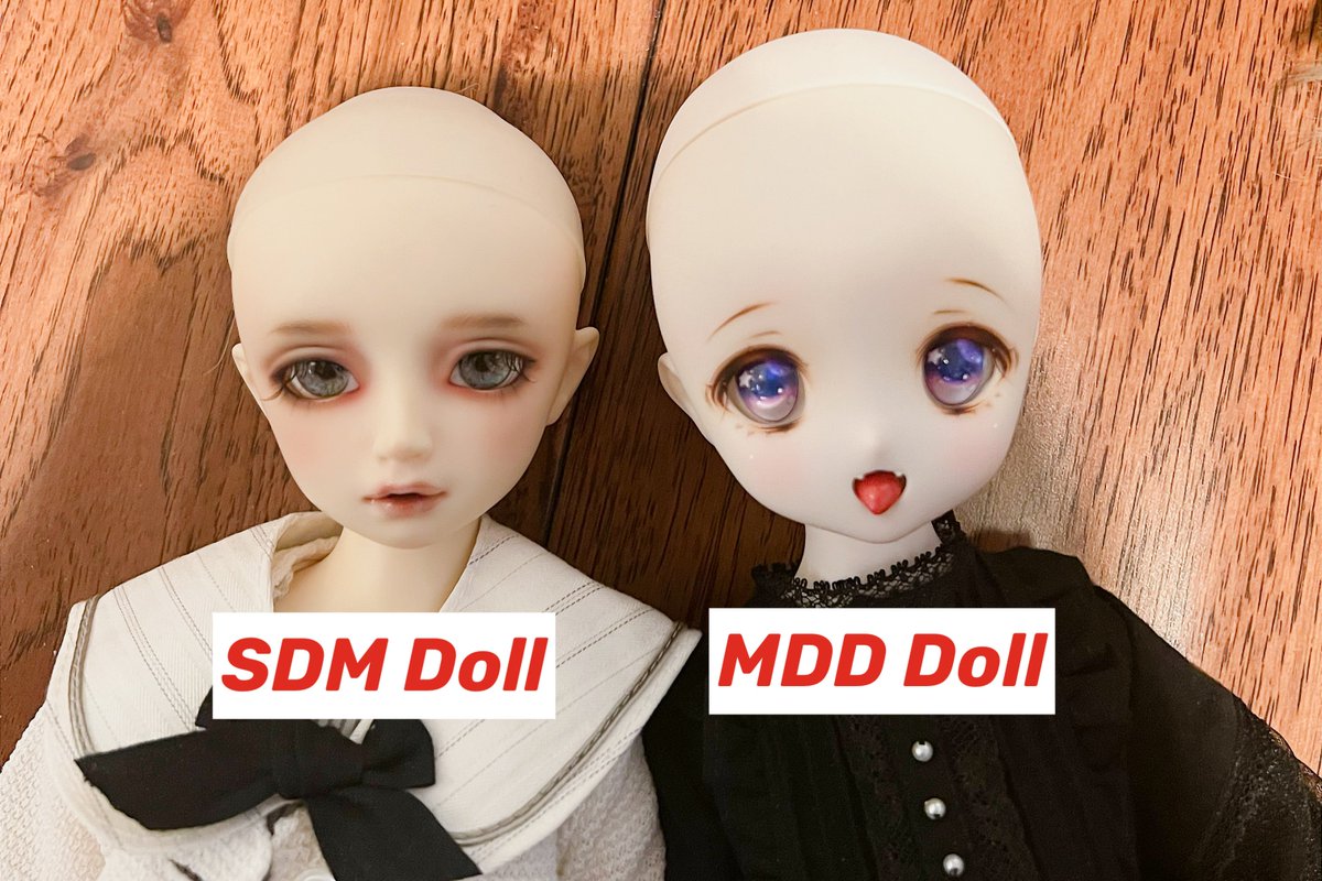今更だけど、一部お客様はSDMとMDDは同じ物？と思ってるみたい、ただ 