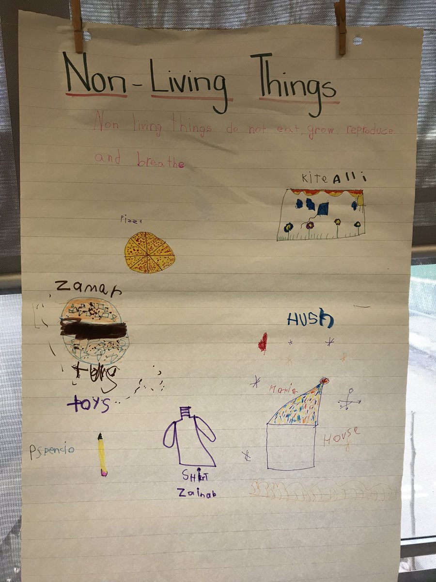 S. Patel (@mspatel_tdsb) on Twitter photo Ss in Gr. 1 <a href="/TPPS_TDSB/">Thorncliffe Park TDSB</a> are co-creating anchor charts and sorting living and non-living things. Ss in Gr. 1 <a href="/TPPS_TDSB/">Thorncliffe Park TDSB</a> are co-creating anchor charts and sorting living and non-living things.