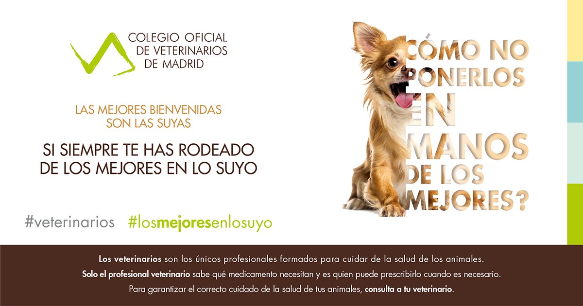 HCVeterinarioUCM tweet media
