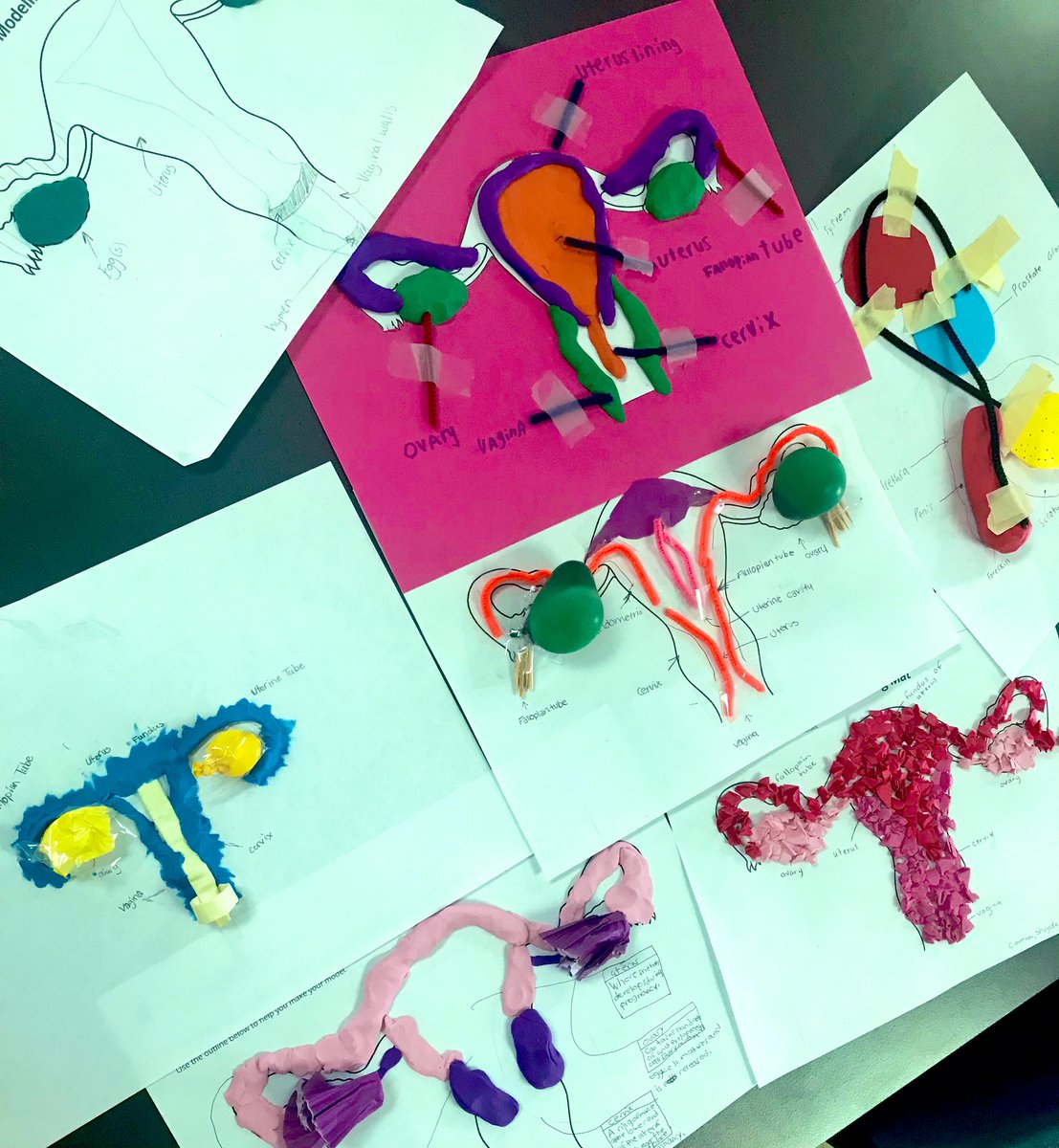 SewNutritious's tweet photo. Grade 8s got creative with materials around the classroom to produce a model of a reproductive system 👨‍🎨 https://t.co/lfBGXw3f5O