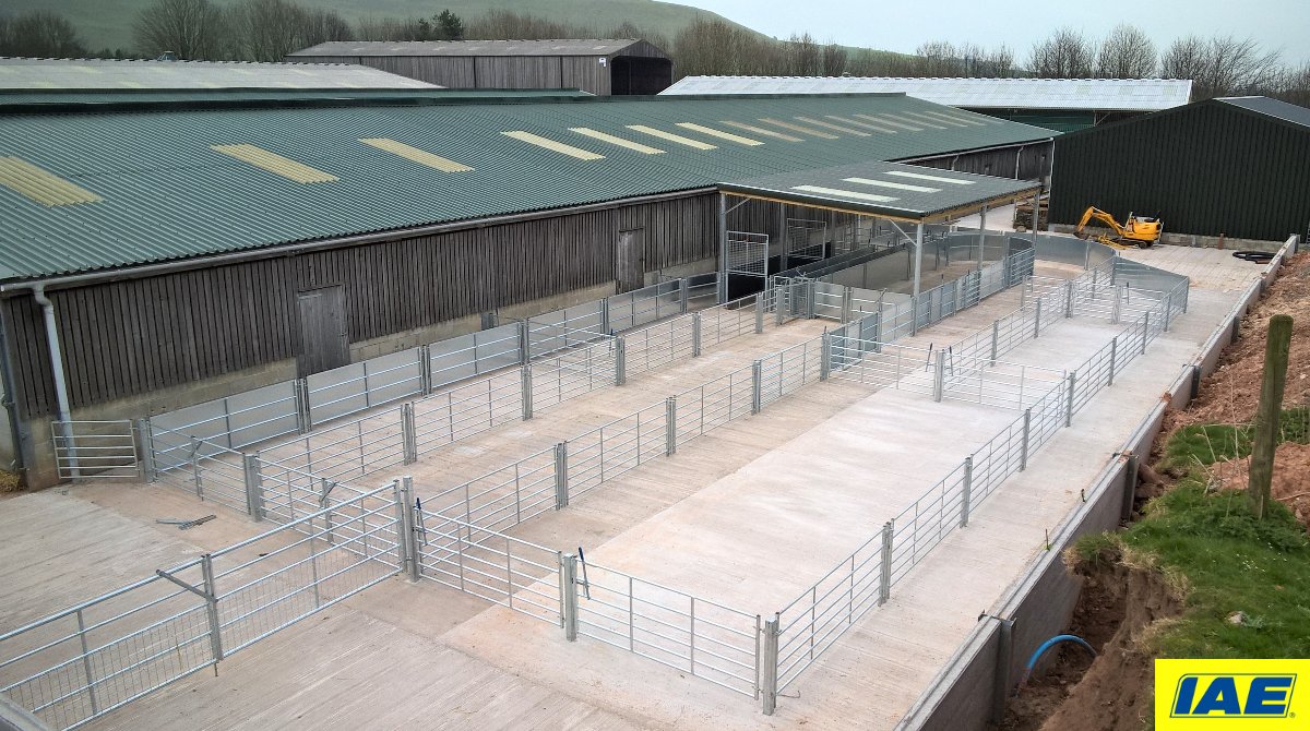 IAE1969's tweet photo. Sheep handling goals! 🙌🏼
Designed by our Area Sales Manager Jason, this fixed sheep handling system is built from a variety of modular components that have been combined to create a unique layout that suits the sheep, handlers and farm 🐑

https://t.co/EgsSEN5lCl

#IAE1969 https://t.co/RpjWOqZZGl