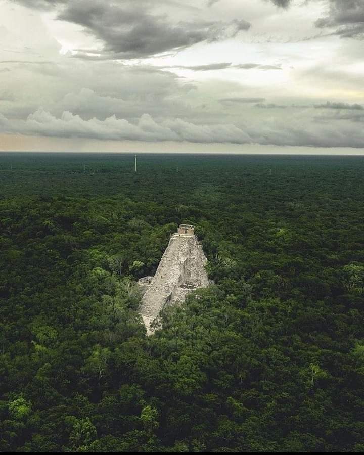 VictorsTransfer's tweet photo. ¡VIVE! , ¡VIVE! , ¡VIVE ! 

#CancunAirport #PrivateTransportation
#PrivateTransfer #Taxi #Cancun #Holbox
#playadelcarmen #Tulum
#rivieramaya  🏝🌅👙#CancunTransportation 🚐
#touristTransportation #Cab #airport ✈🛫🚘
#Transfer #PrivateTour #covid #holiday👝🛎⛱ https://t.co/vanzh9uZvf