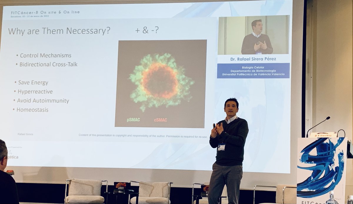 InfoGetica's tweet photo. Don't forget about Signal 2 for T cell activation: the #immunological #synapse, a complex and regulatory interaction between #Tlymphocyte and #APC by Dr @rafaelsirera @UPV #FITCancer https://t.co/GzBkIW6ae6