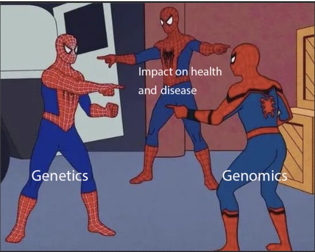 genome_gov's tweet photo. Genetics and genomics play critical roles in health and disease, but what’s the difference between the two? Why are both important for our health? Learn more in our genetics vs. genomics fact sheet! https://t.co/U9FenupHCq https://t.co/Urr8gMWHFj