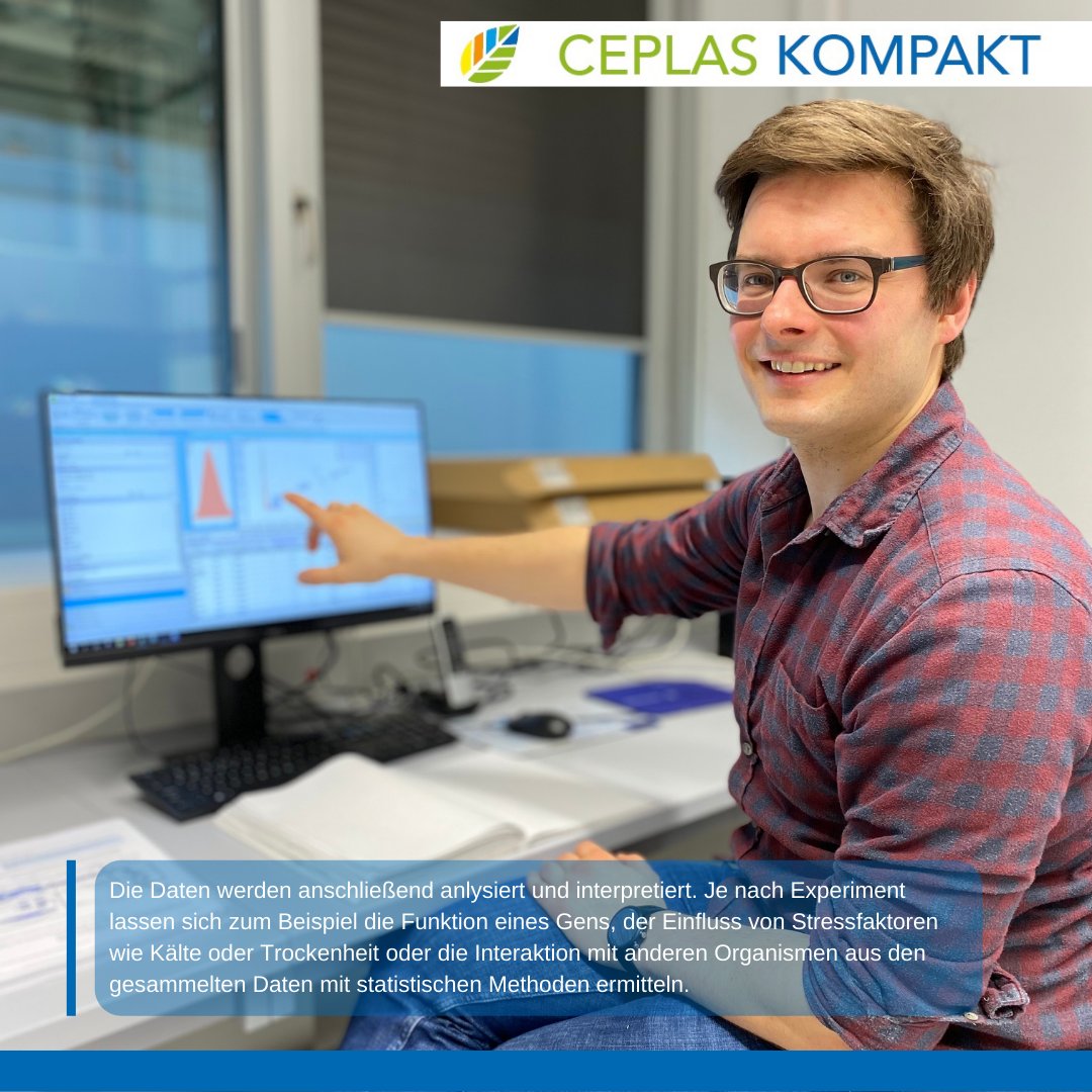 In unserem heutigen #CEPLASKompakt gibt uns Philipp Westhoff einen Einblick in seine Arbeit in der "Plant Metabolism and Metabolomics Facility" <a href="/HHU_de/">Heinrich-Heine-Universität Düsseldorf</a>! 🌿🧪🔎#scicomm #wisskomm #plantsci <a href="/WeberLab_HHU/">WeberLab</a>