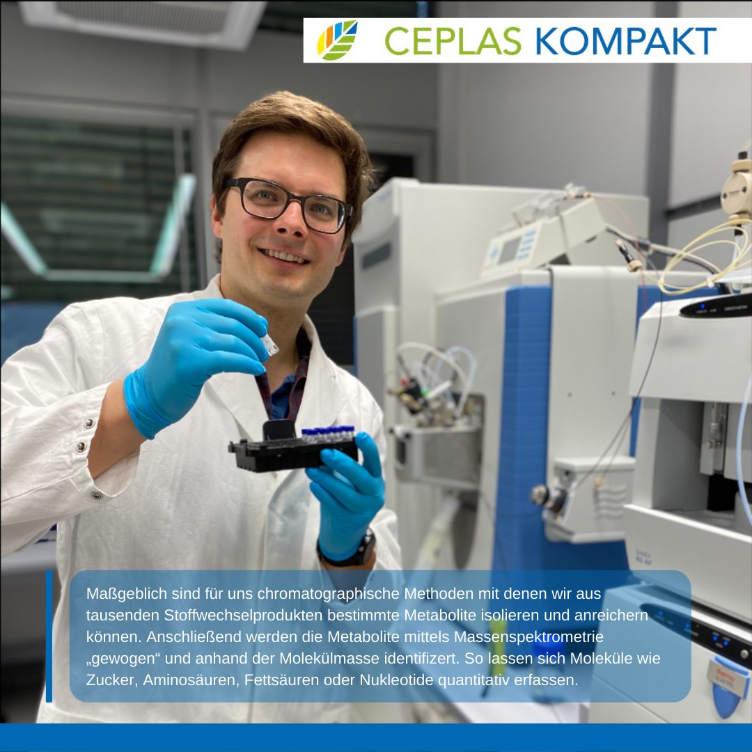 ceplas_1's tweet photo. In unserem heutigen #CEPLASKompakt gibt uns Philipp Westhoff einen Einblick in seine Arbeit in der "Plant Metabolism and Metabolomics Facility" @HHU_de! 🌿🧪🔎#scicomm #wisskomm #plantsci @WeberLab_HHU https://t.co/eOlwULw72V