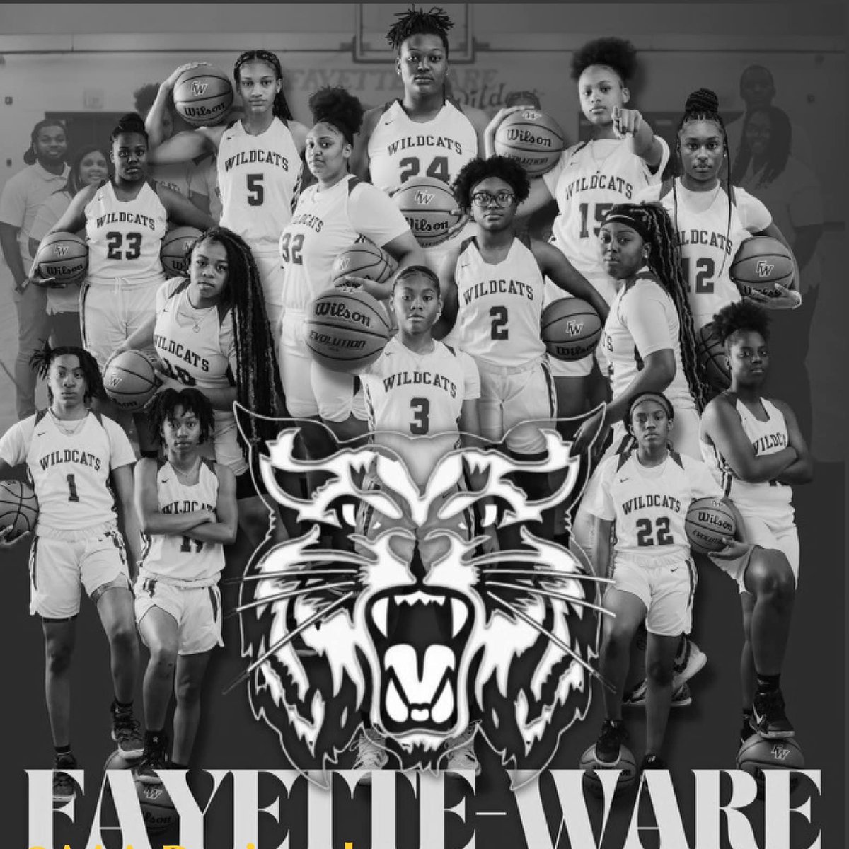 AthleticsFCPS's tweet photo. On behalf of @AthleticsFCPS &amp; #FWWildcatNation Congrats Lady Wildcats on a GREAT record breaking season! We are so proud of you! 23-7, undefeated district &amp; post season, first state appearance in 43 years, &amp; no seniors. Future is BRIGHT @FCPSchoolsTN @SherriS_80 @fayettewarehigh https://t.co/QSVuNJ74F1