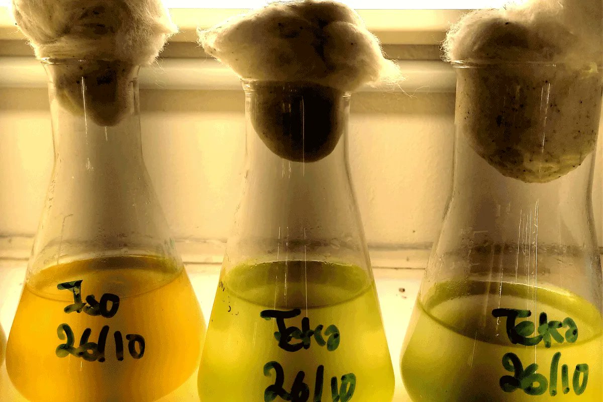 VOIR L'ART &amp; LA SCIENCE EN TRAIN DE SE FAIRE
Après avoir suivi les artistes/scientifiques avant/pendant le festival, l'équipe vous convie à une table ronde entre artistes et scientifiques sur les processus #artsetsciences. 
Ce 11/03 à 15h à la BU Bouguen
buff.ly/3I7g504