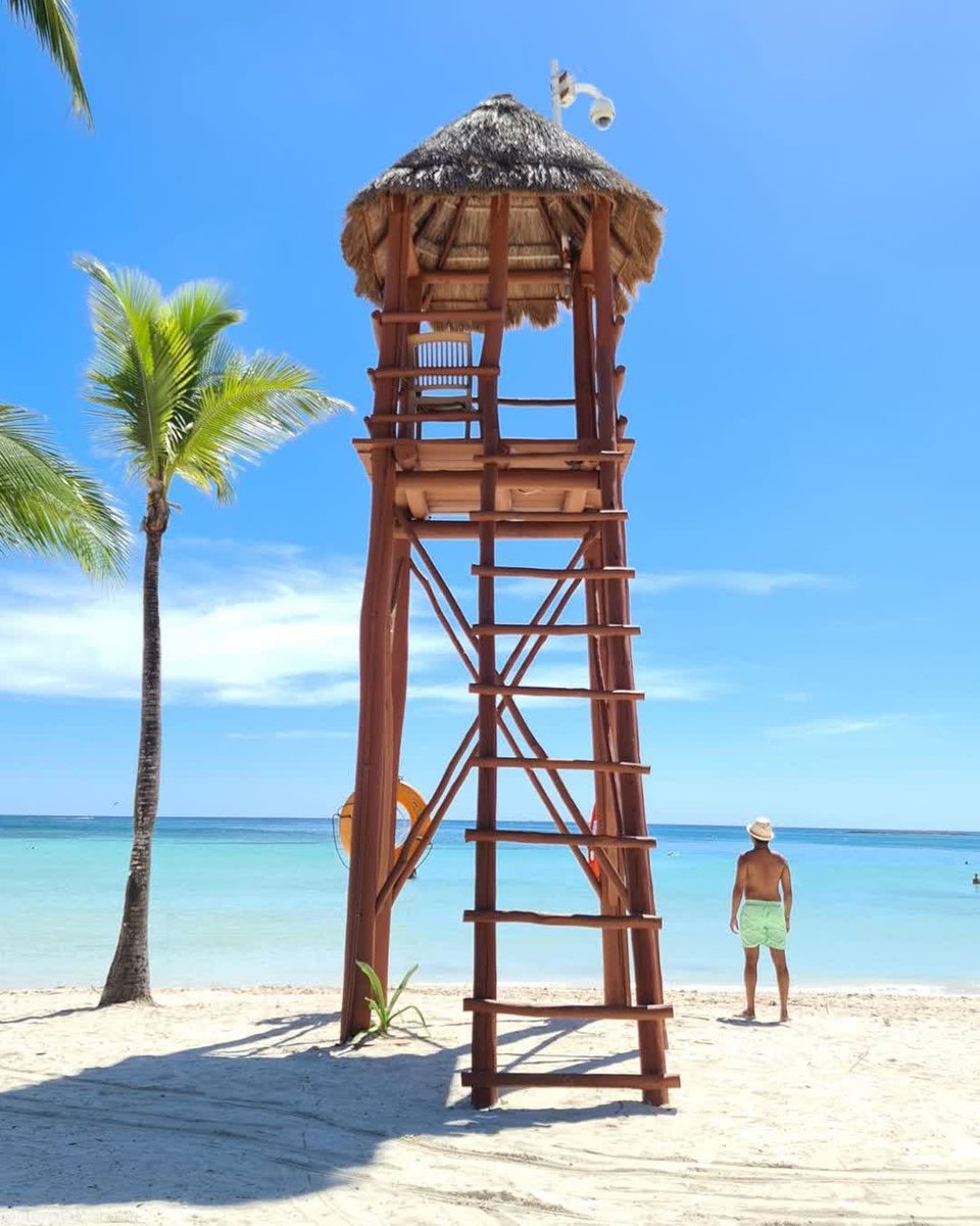 VictorsTransfer's tweet photo. La vida es una aventura, atrévete 

#CancunAirport #PrivateTransportation
#PrivateTransfer #Taxi #Cancun #Holbox
#playadelcarmen #Tulum
#rivieramaya  🏝🌅👙#CancunTransportation 🚐
#touristTransportation #Cab #airport ✈🛫🚘
#Transfer #PrivateTour #covid #holiday👝🛎⛱ https://t.co/lDqkELTemv